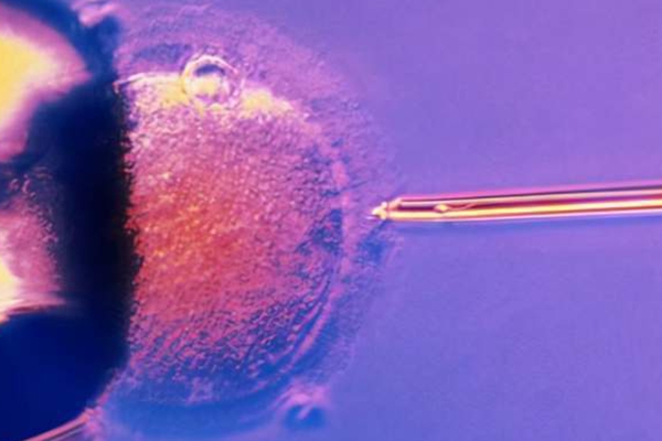 泰国千禧生殖中心：个性化治疗方案-提升试管移植成功率的关键策略