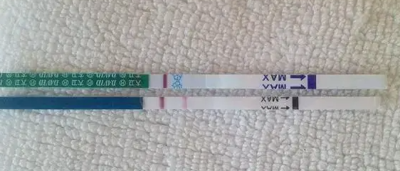 胚胎移植11天HCG参考值解析:低于范围≠胚胎发育不良