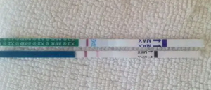 胚胎移植11天HCG参考值解析：低于范围≠胚胎发育不良