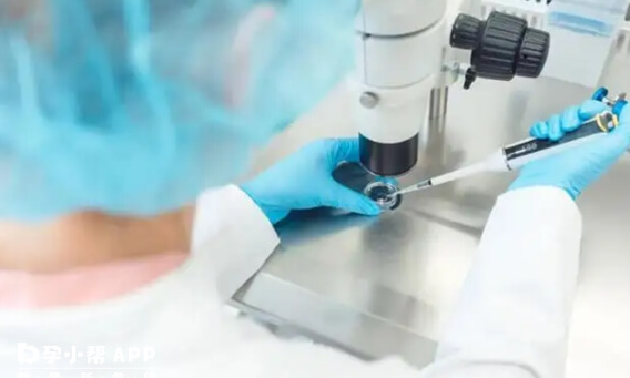 试管婴儿PPOS方案与微刺激方案：差异显著，效果与适用人群各不同