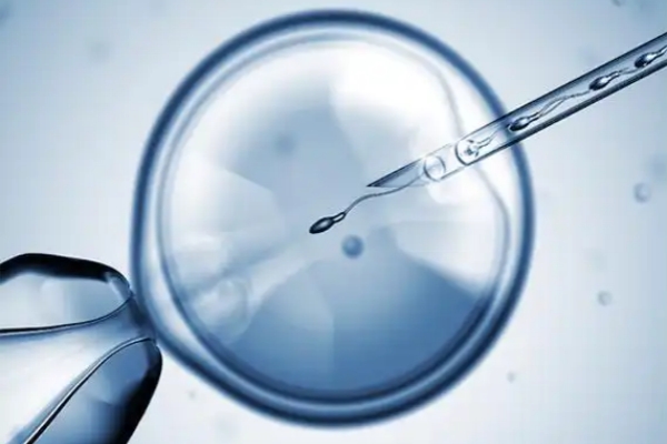 美国EFC生殖中心：试管婴儿成功关键，四大准备提升胚胎着床率