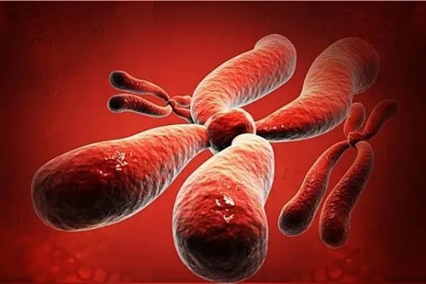 美国CCRH生殖中心：子宫血流阻力-试管移植成功的关键影响因素