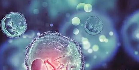 女性卵泡发育差的原因解析：营养不良与卵巢早衰是主因