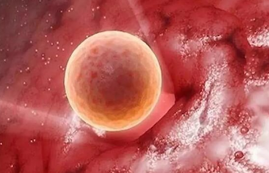 上海试管婴儿医院：胚胎质量不好的原因汇总，是男方还是女方问题看完便知