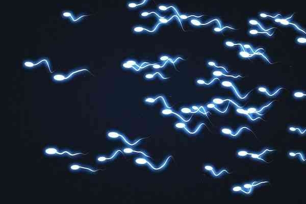 美国CCRH生殖中心：取卵前男方必备攻略，提升精子质量