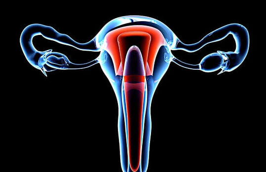 宫腔粘连对女性生育的影响汇总：不孕、月经不调等问题多