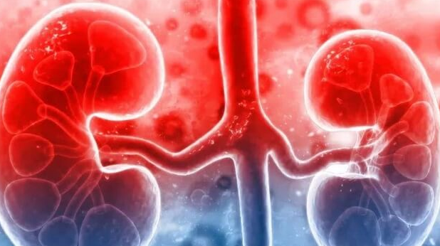 慢性肾炎患者赴美试管促排卵：需谨慎评估，避免盲目尝试