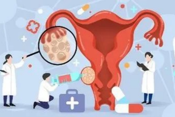 美国EFC生殖中心：雌激素水平低对试管婴儿胚胎移植成功率有何影响？