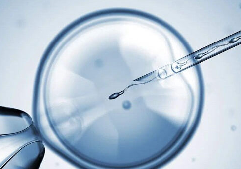 高龄男性做试管婴儿：精子质量与成功率面临的挑战