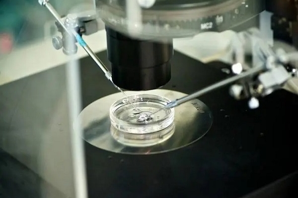 美国CCRH生殖中心：取卵前感冒对卵子质量的影响，程度轻重有别