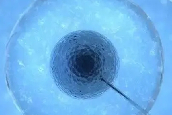 泰国试管婴儿打夜针后全方位护理指南：卫生保持至关重要