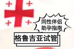 格鲁吉亚辅助生殖：同性伴侣的生育新希望