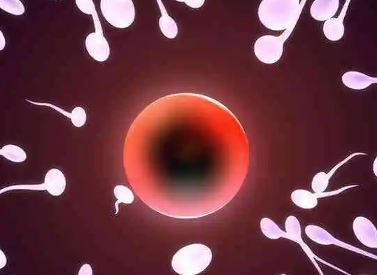 畸形精子赴美做试管：技术选择是关键