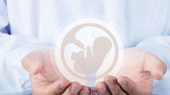 赴美试管移植后：科学活动助力胚胎着床