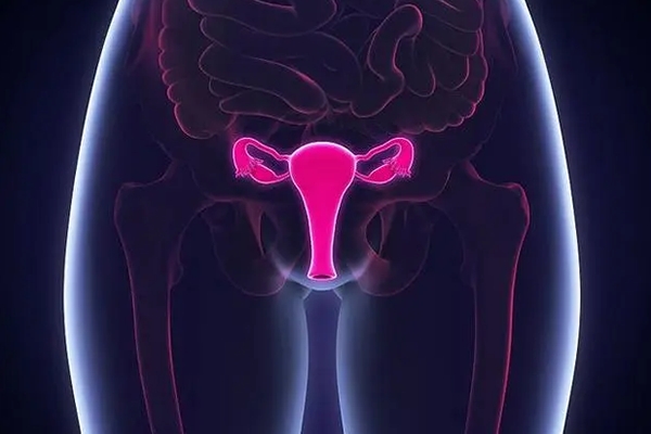 泰国千禧生殖中心：子宫腺肌症的自我调理指南