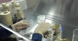 移植冻囊着床：身体悄然变化的多样信号