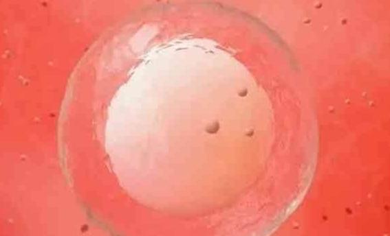 上海试管婴儿医院：胚胎移植后感冒发热与否是影响着床的关键