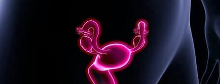 卵巢功能差赴泰试管：成功率因“因”而异