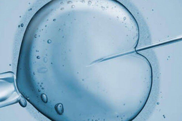 泰国千禧生殖中心：囊胚移植后肚子发胀的原因分析与胚胎着床影响