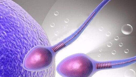 做试管促排仅有两个卵泡？饮食调整助力成功