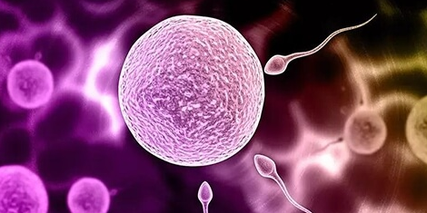 试管婴儿一次成功:选对医院是关键