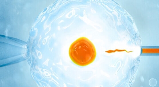 上海试管婴儿医院：做试管婴儿降调方案适合什么人群？