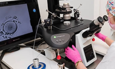 赴美试管移植孕酮高别慌！吃对食物化解潜在风险