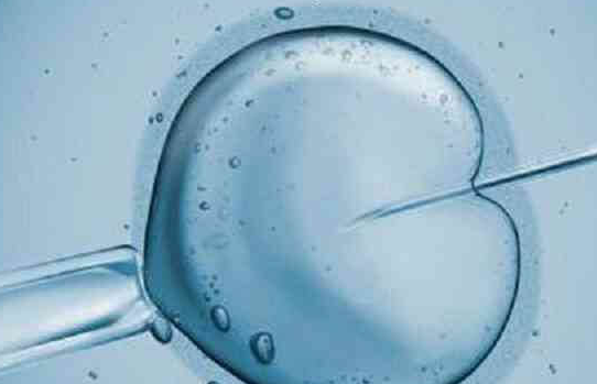 上海试管婴儿医院：自然周期移植冻胚为何需要补充黄体酮？平衡激素是关键