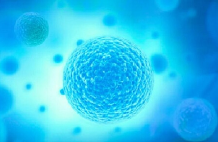 美国4BC囊胚移植成功率解析：科学策略助力着床率提升