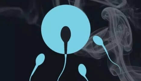 去美国做试管婴儿：前期准备与助孕流程详解