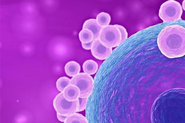 泰国DHC生殖医院：4BB囊胚空囊原因-染色体异常、妇科疾病等潜在因素