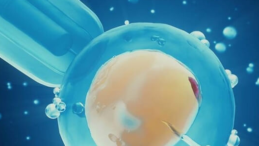 移植鲜胚后多久着床？时间差异背后的科学真相