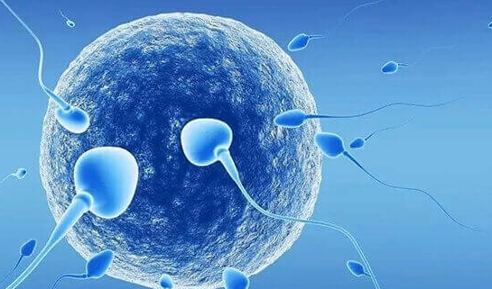 美国试管婴儿成功率比国内高吗？