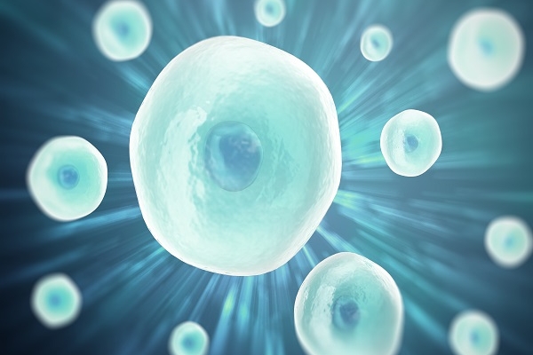 美国CCRH生殖中心：宫腔粘连对囊胚移植的影响