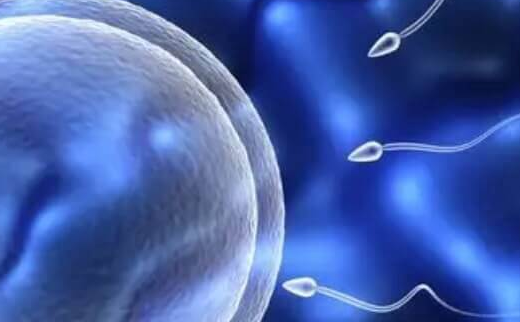 泰国做三代试管：卵泡多大才能取？弄清促排取卵标准就明白了