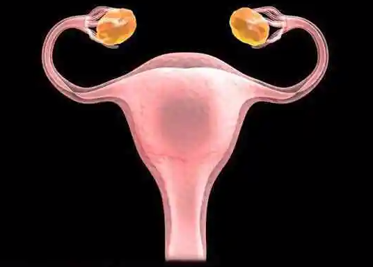 宫腔粘连做试管婴儿有影响，严重会导致胚胎着床失败