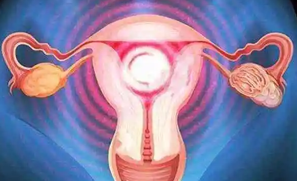 双子宫做试管婴儿的影响与成功率解析