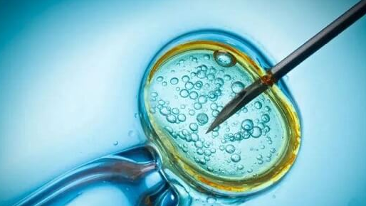 试管婴儿智商比正常孩子低？先天与后天共同决定