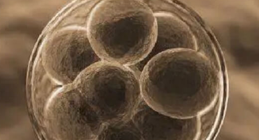 上海试管婴儿医院：试管打破卵针3天还没破？与激素水平等3点有关