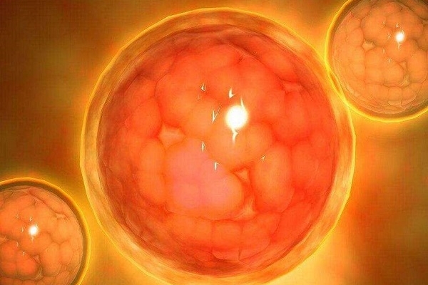 美国EFC生殖中心：移植冻胚前卵泡监测的重要性及不同方案的效果