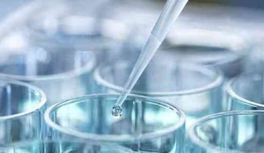 冷冻胚胎复苏后为何需继续培养？提升发育潜力是关键