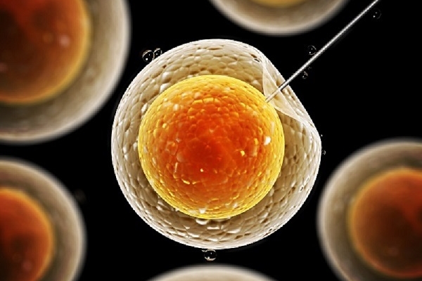 美国CCRH生殖中心：三代试管婴儿胚胎畸形的原因