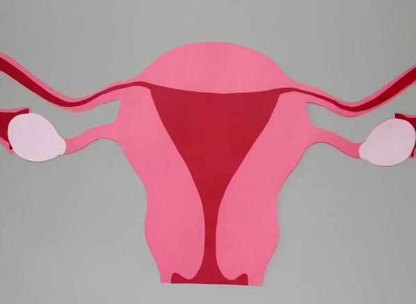 腺肌症到泰国做试管婴儿的步骤与成功率解析