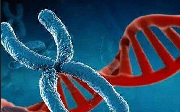 染色体缺失做试管婴儿收费多少？及一次成功费用需要多少？