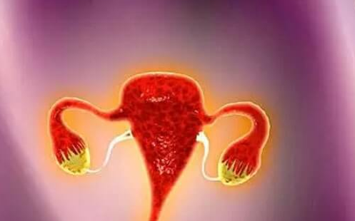 取卵不出血是正常现象！什么原因一文告知