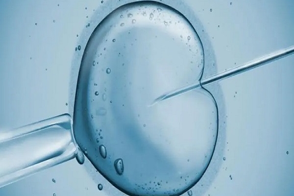 美国CCRH生殖中心：胚胎移植后胎心胎芽出现伴出血原因