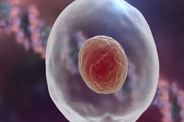 泰国DHC生殖医院：胚胎移植后发育迟缓，三大建议助力改善