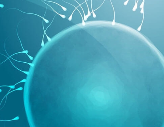 高龄女性赴泰试管：多维度策略提升成功率，PGT技术仅是关键一环