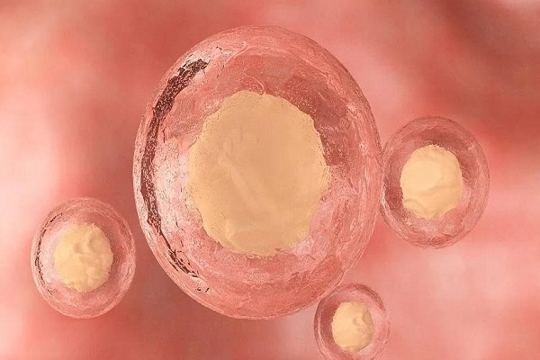 美国CCRH生殖中心：胚胎移植胎停后再孕-调整心理状态与注意事项
