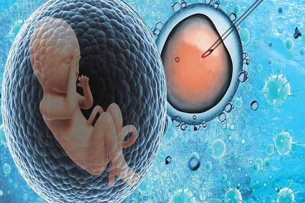 泰国DHC生殖医院：试管婴儿胚胎质量评估，外观与内部并重